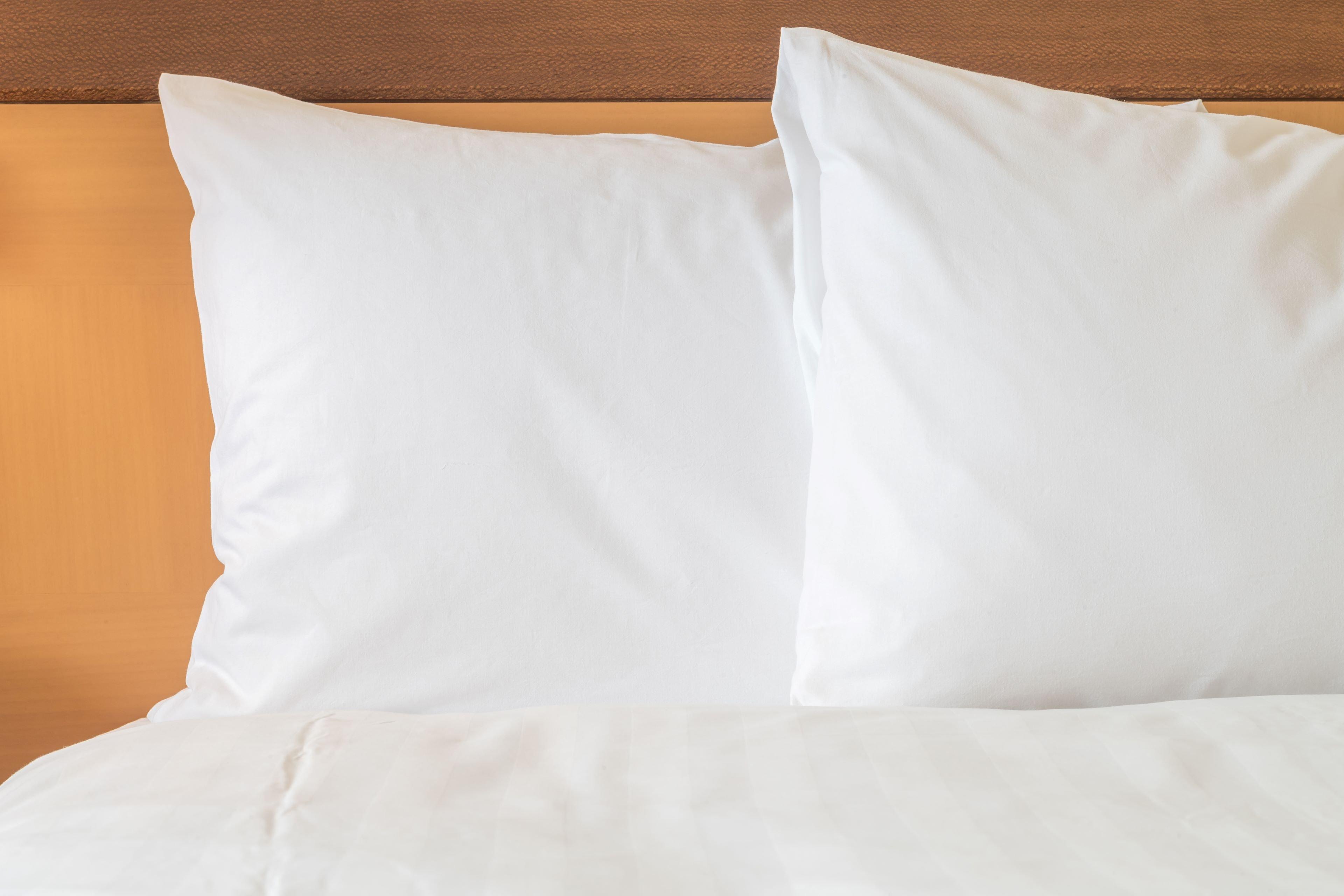 Holiday Inn Express & Suites Ludington By Ihg Εξωτερικό φωτογραφία